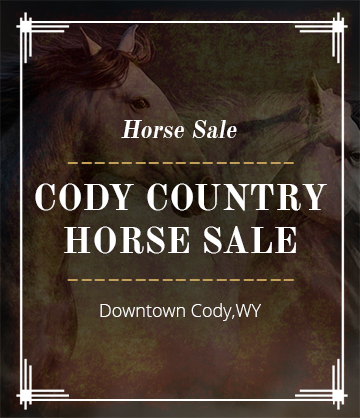 Cody Country Horse Sale